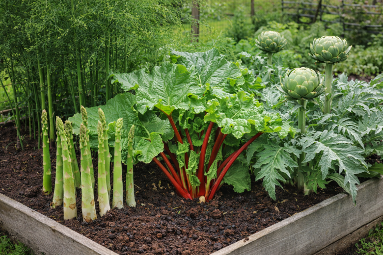 Най-ефективните градински техники и съвети